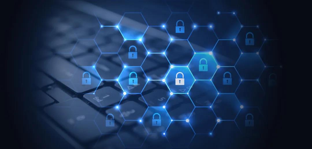 云顶集团信息迷网系统
